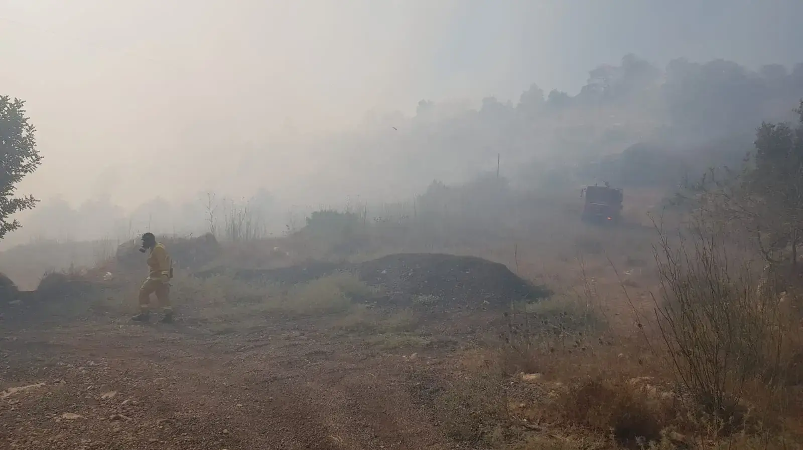 שריפה חורש גדולה באזור בית שמש 5 ביולי 2018 שריפה חורש גדולה באזור בית שמש 5 ביולי 2018