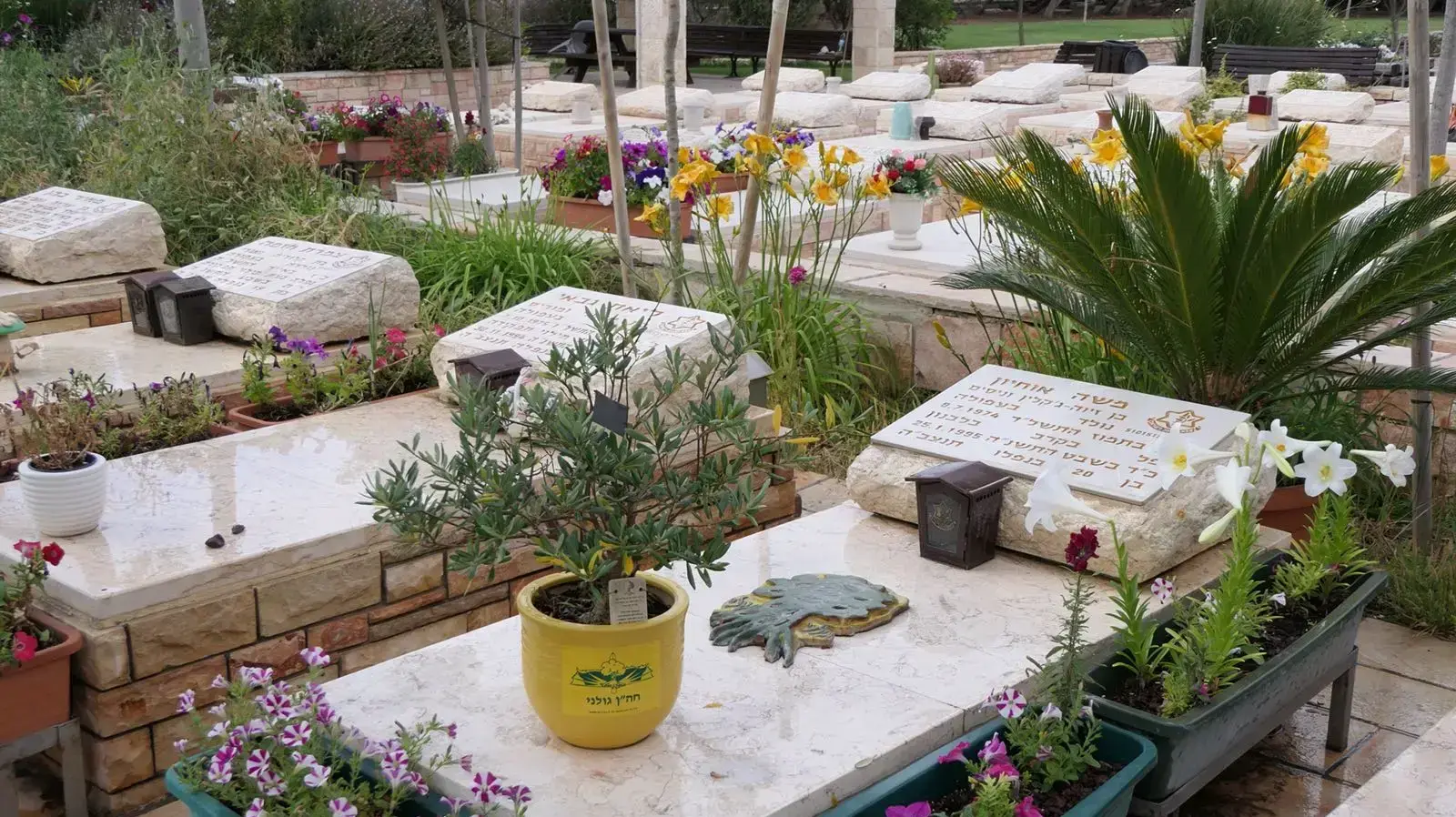 הקבר של משה אוחיון ז"ל הקבר של משה אוחיון ז"ל