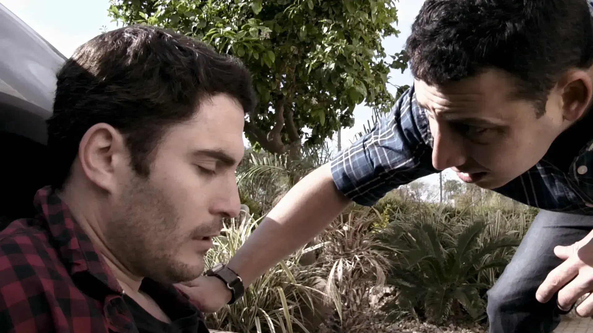 אנתרקס אנתרקס
