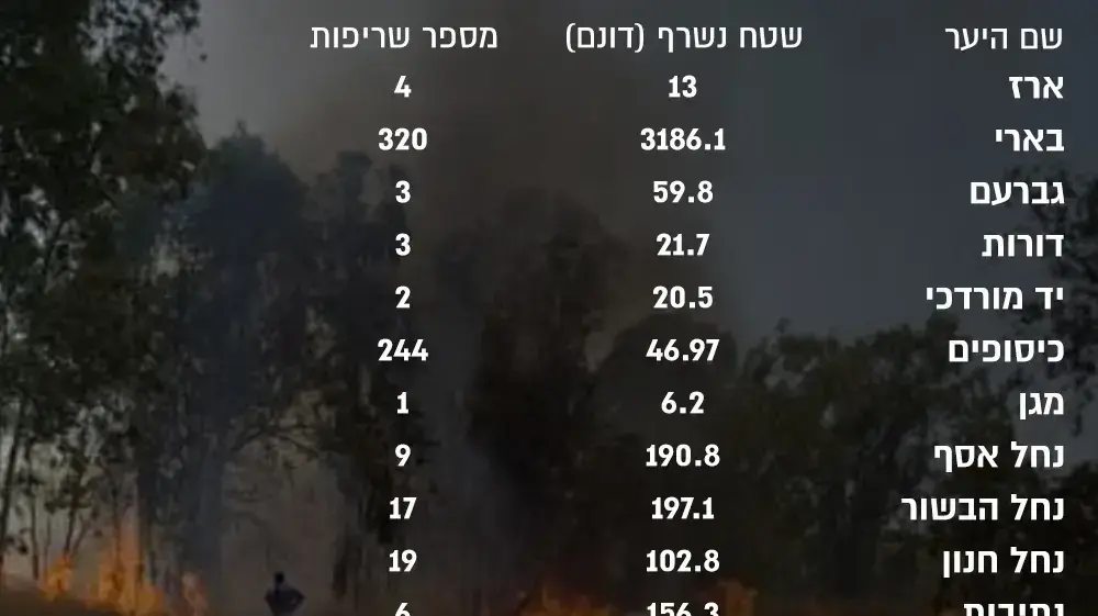נתוני שריפות נתוני שריפות