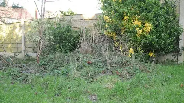 גופתו של קנת' קומבס נקברה בחצר ביתו גופתו של קנת' קומבס נקברה בחצר ביתו