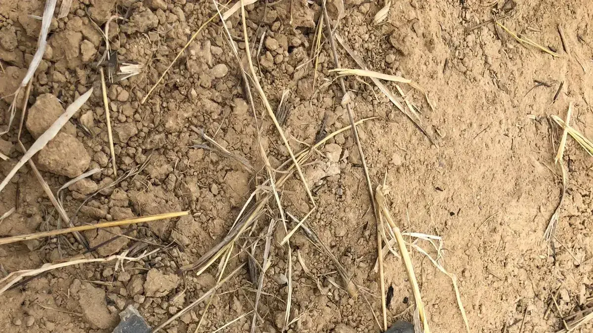 שרידי הרקטה שנפלה בתוך ישוב בשער הנגב שרידי הרקטה שנפלה בתוך ישוב בשער הנגב