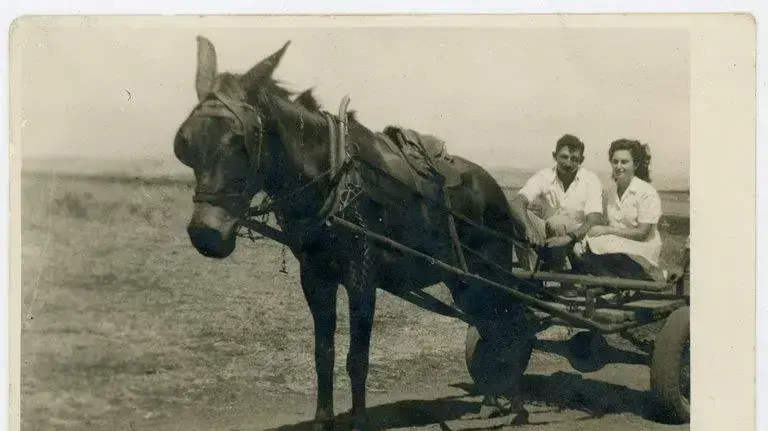 האוצר הגנוז בקופסת הזיכרונות של פנינה גרי מספר את הטרגדיה האישית וכעת יוצא גם למרחב הציבורי