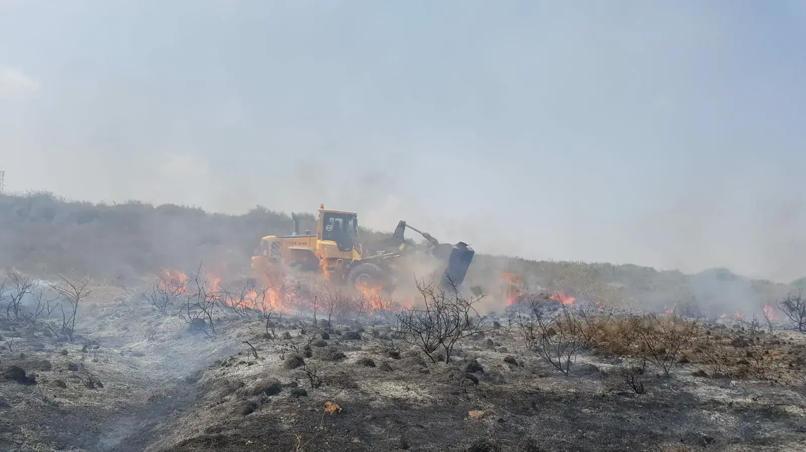 שריפה בארז 15 ביולי 2018 שריפה בארז 15 ביולי 2018