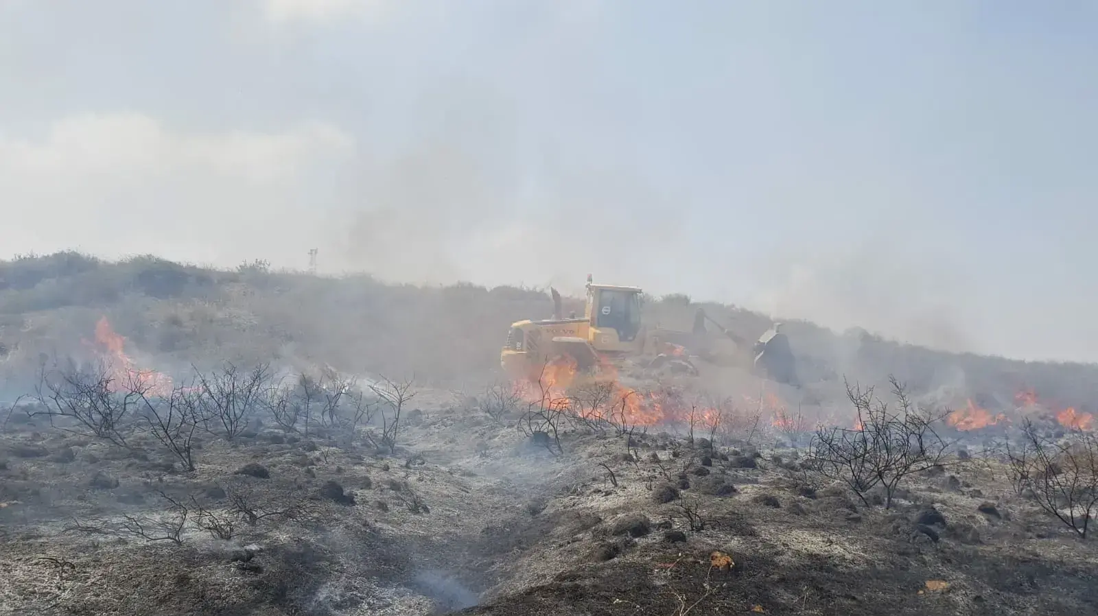 שריפה בארז 15 ביולי 2018 שריפה בארז 15 ביולי 2018