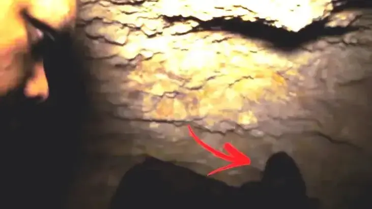 צייד רוחות רפאים במערה צייד רוחות רפאים במערה