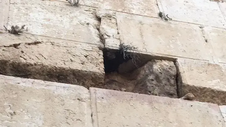 אבן נפלה מהכותל המערבי אבן נפלה מהכותל המערבי