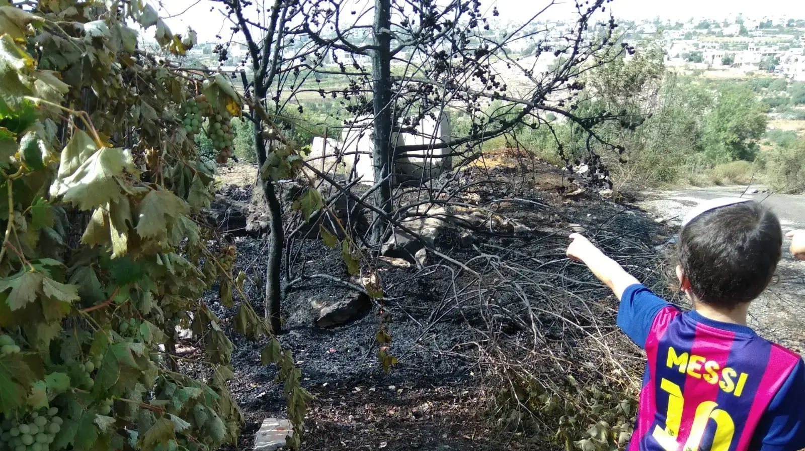 נזקי שריפה בהתנחלות כרמי צור שבגוש עציון, 25 ביולי 2018