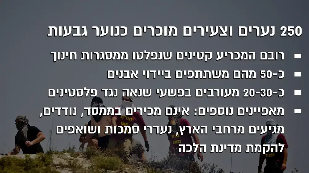 נתונים של מערכת הביטחון על 250 נערי הגבעות ביהודה ושומרון נתונים של מערכת הביטחון על 250 נערי הגבעות ביהודה ושומרון