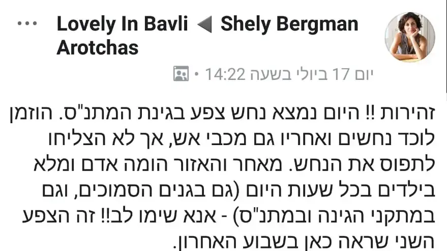 פוסט בפייסבוק על נחש צפע סמוך לגן ילדים בצפון תל אביב פוסט בפייסבוק על נחש צפע סמוך לגן ילדים בצפון תל אביב