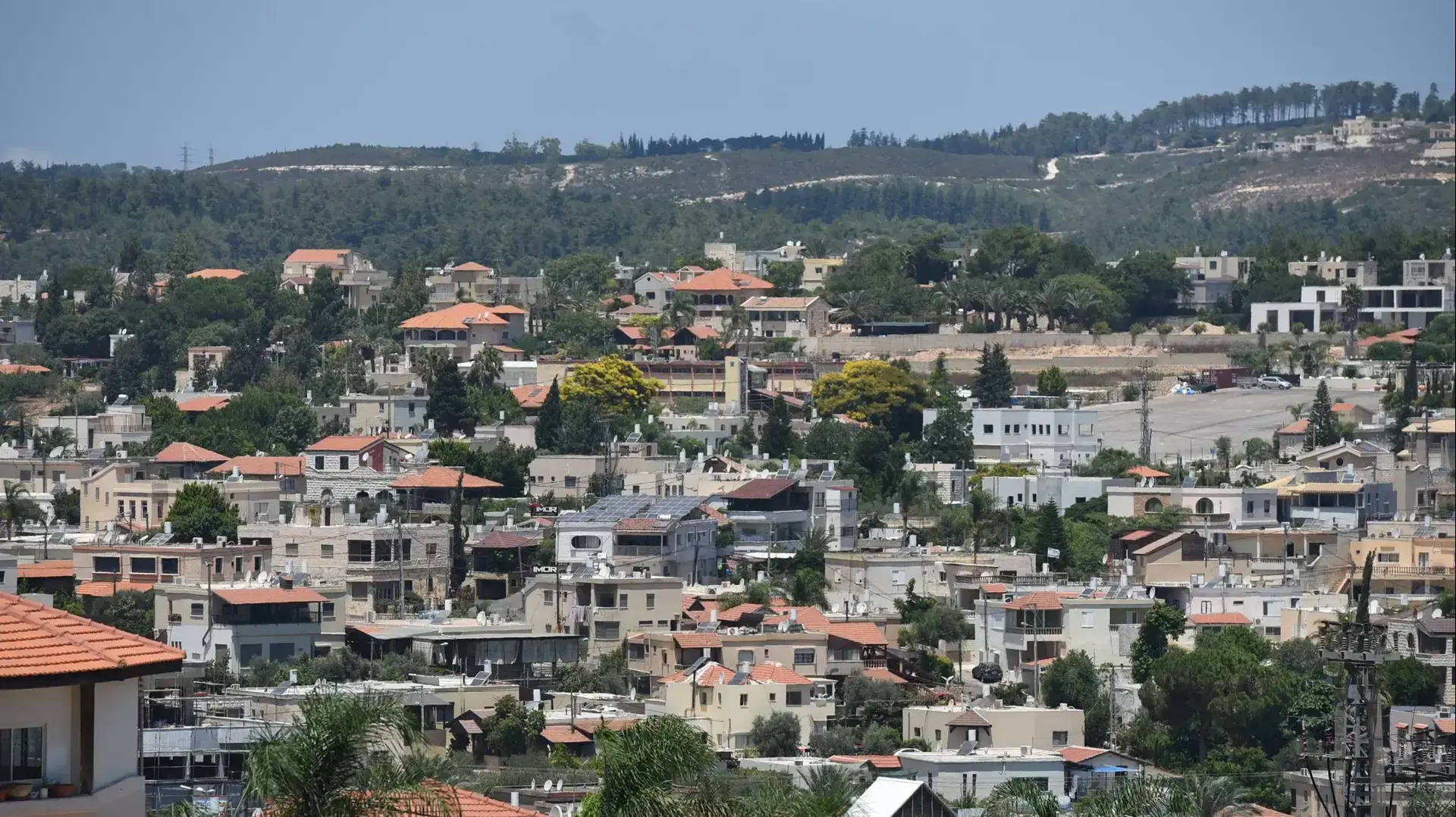 מועצה מקומית דלית אל כרמל