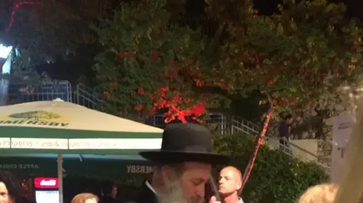 שולי רנד שולי רנד