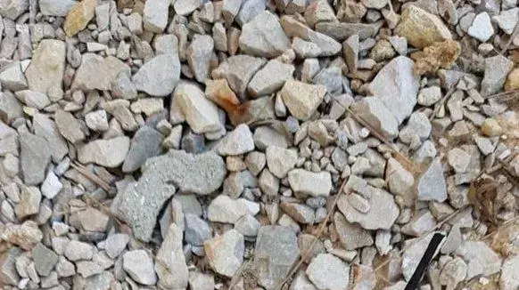 בלון תבערה באחד מיישובי המועצה האזורית חוף אשקלון בלון תבערה באחד מיישובי המועצה האזורית חוף אשקלון