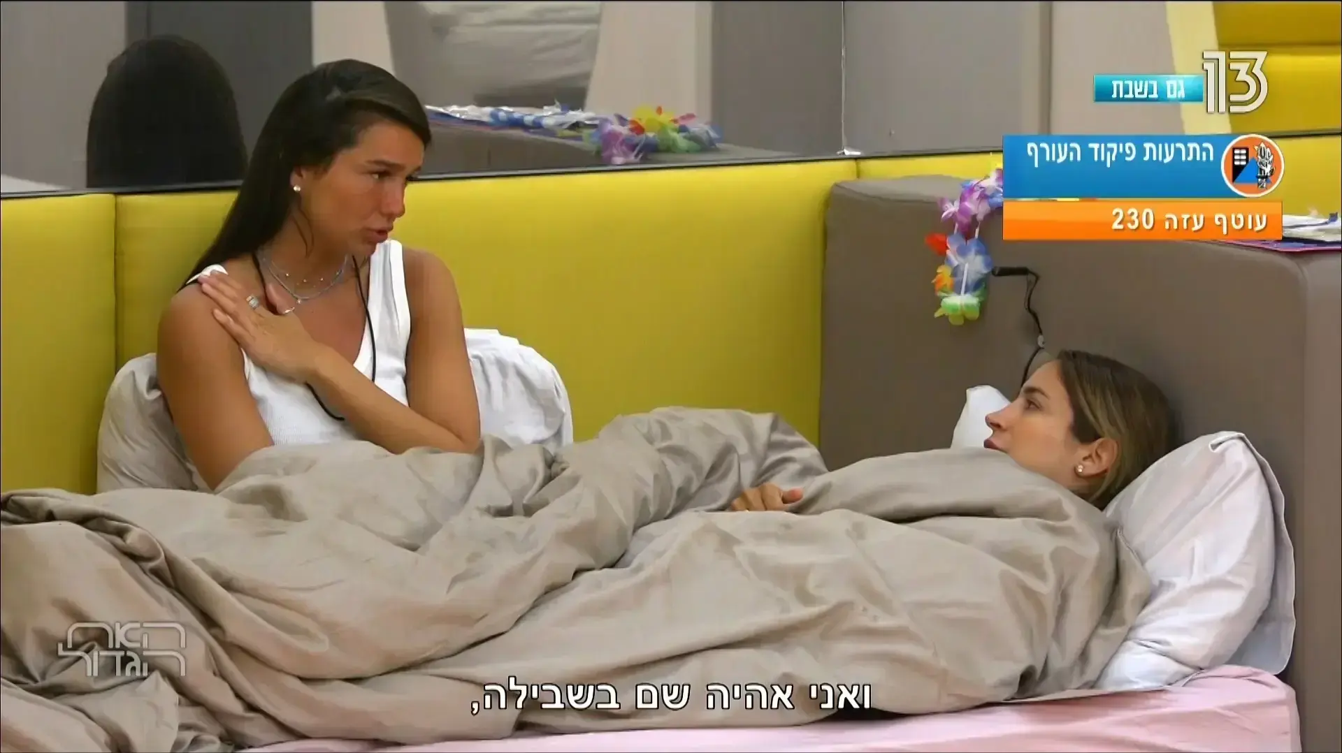 האח הגדול האח הגדול