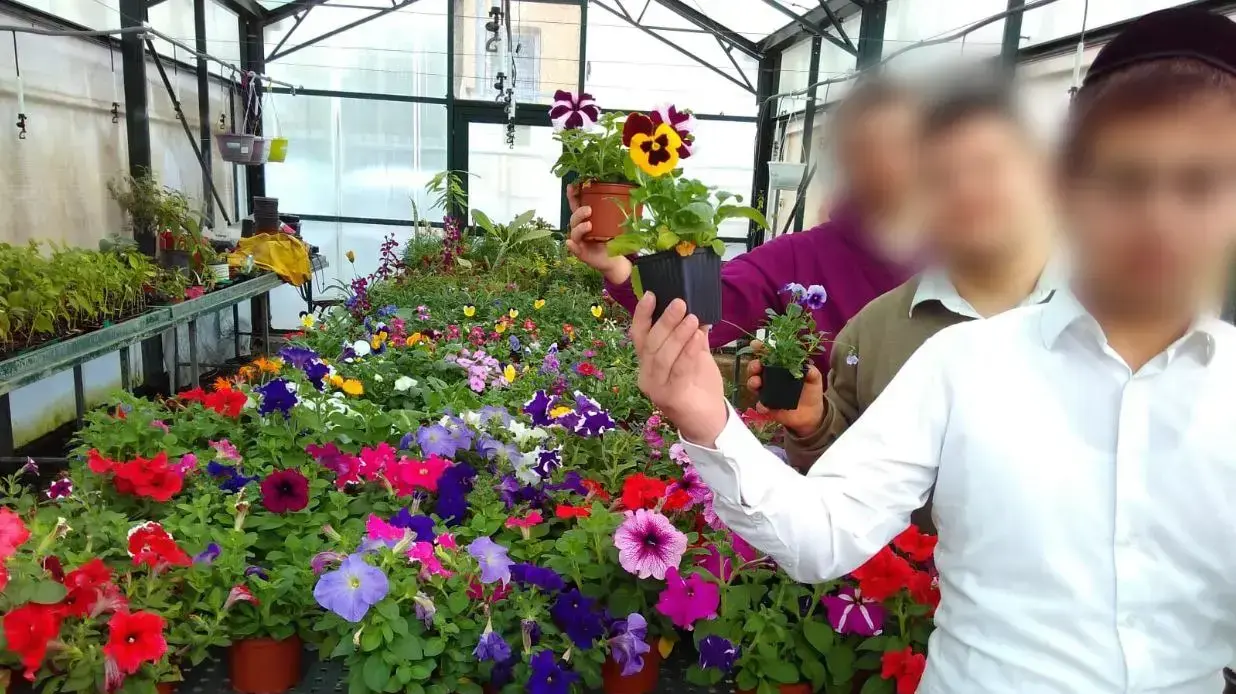 חצר בית ספר לילדים עם מוגבלויות שנסגר בבני ברק חצר בית ספר לילדים עם מוגבלויות שנסגר בבני ברק