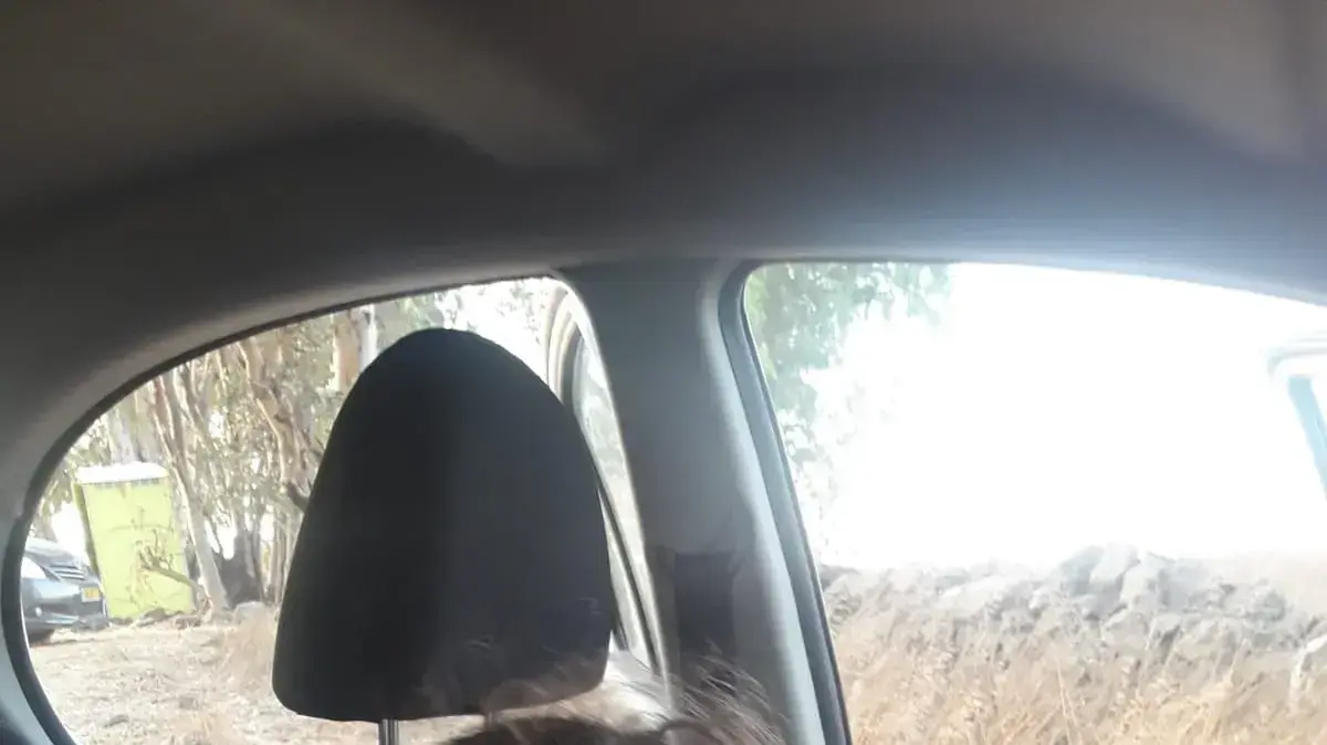 שלומציון לקס, בת 4 טבעה בכנרת ופונתה לבית החולים זיו בצפת במצב אנוש, שם נפטרה. 22 ביוני 2018
שלומציון לקס, בת 4 טבעה בכנרת ופונתה לבית החולים זיו בצפת במצב אנוש, שם נפטרה. 22 ביוני 2018