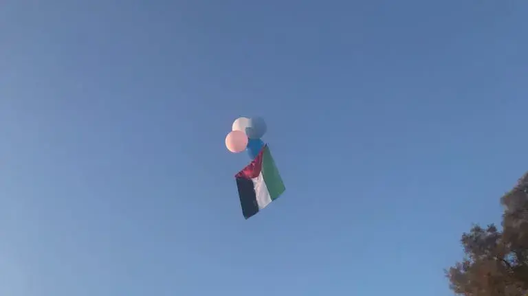 בלון תבערה ברחוב תלמי בילו במועצה האזורית מרחבים שבעוטף עזה בלון תבערה ברחוב תלמי בילו במועצה האזורית מרחבים שבעוטף עזה