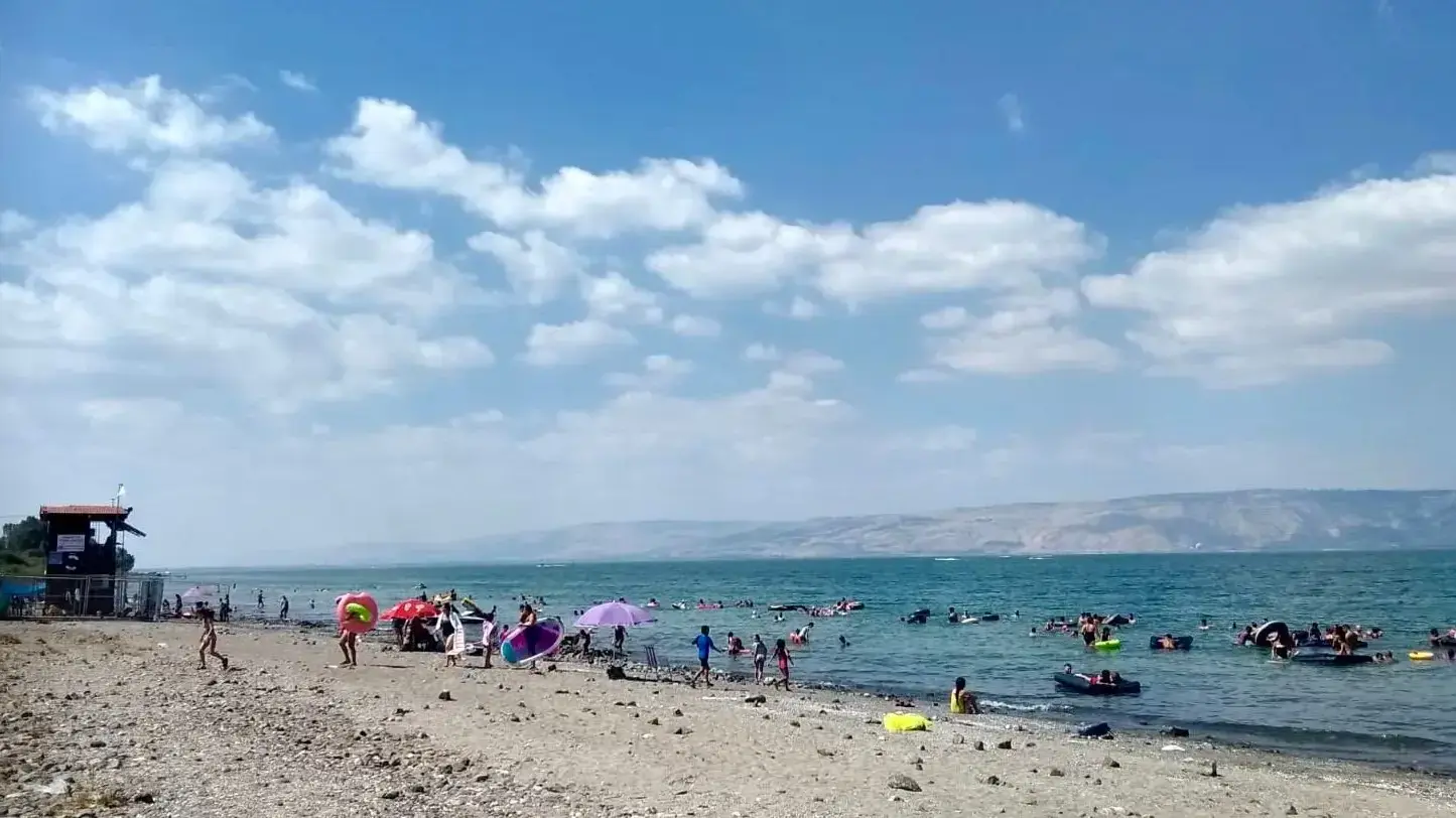 רוחצים בכנרת ב-18 באוגוסט 2018 רוחצים בכנרת ב-18 באוגוסט 2018