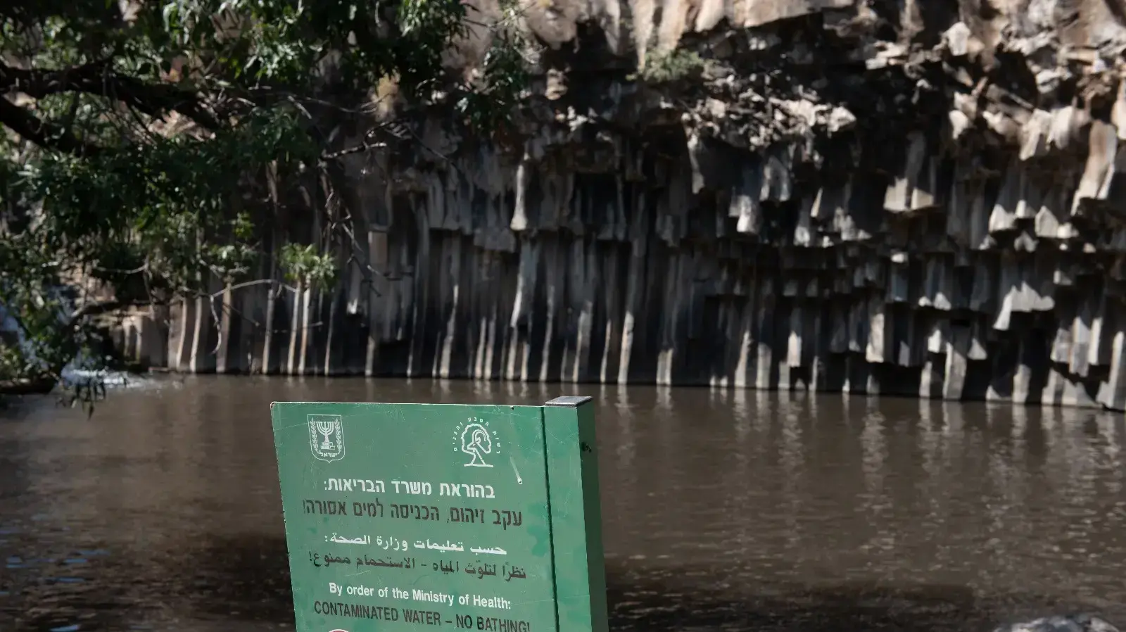 בריכת המשושים ברמת הגולן ריקה בעקבות החשש מעכברת