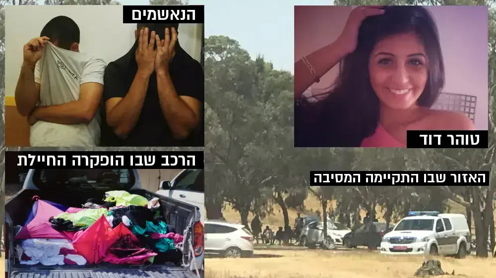 טוהר דוד