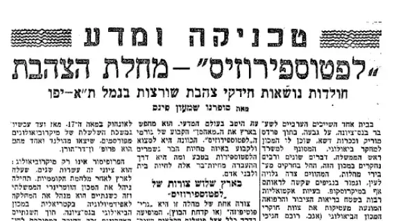 עכברת סקירה-חולדות בנמל תל אביב 1957 עכברת סקירה-חולדות בנמל תל אביב 1957