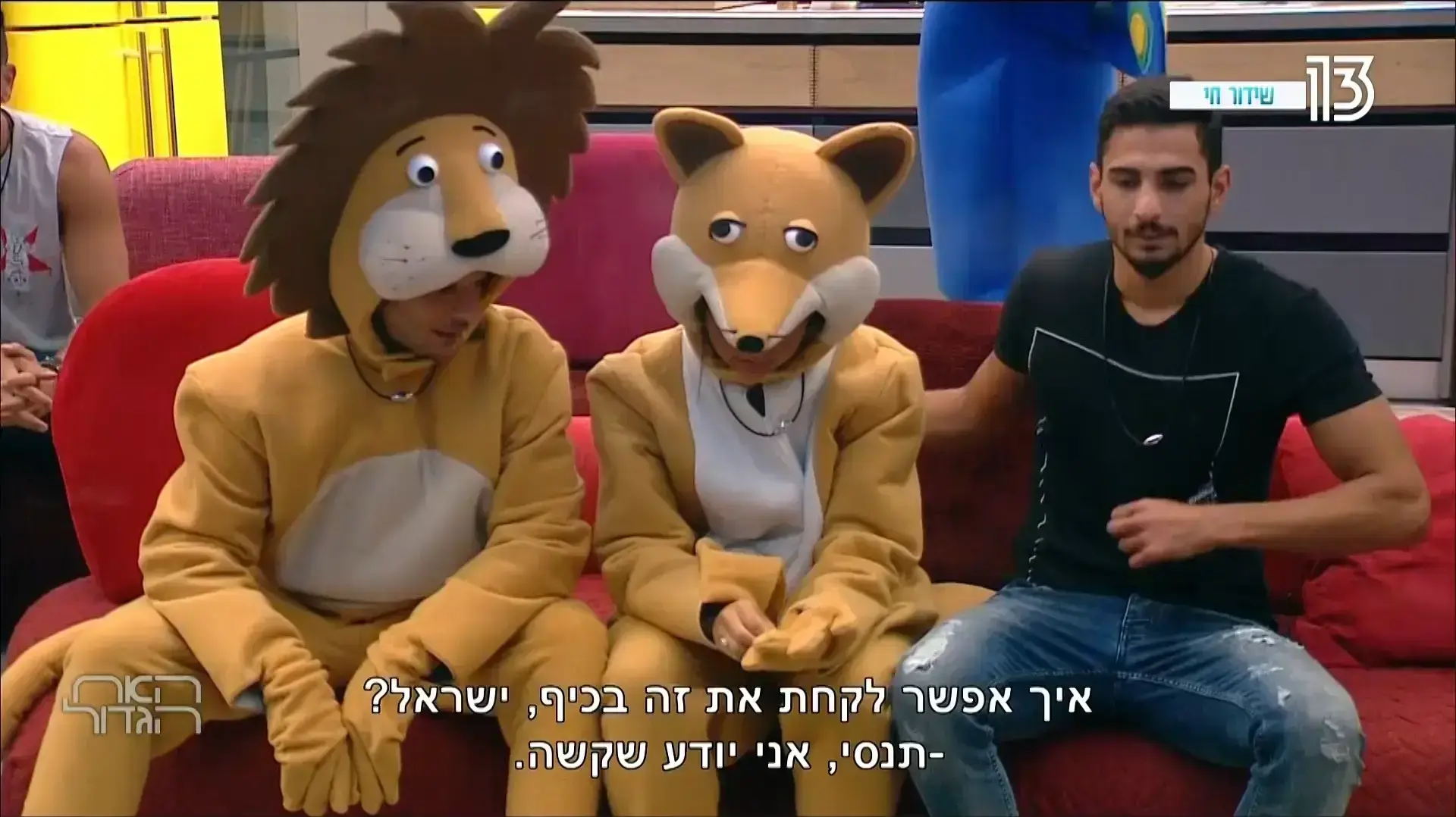 האח הגדול האח הגדול