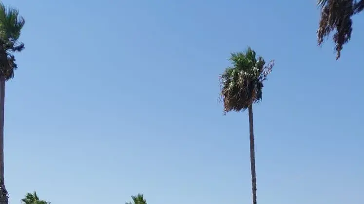 חוף ים בקריית חיים שבו הותקפו שלושה ערבים תושבי שפרעם