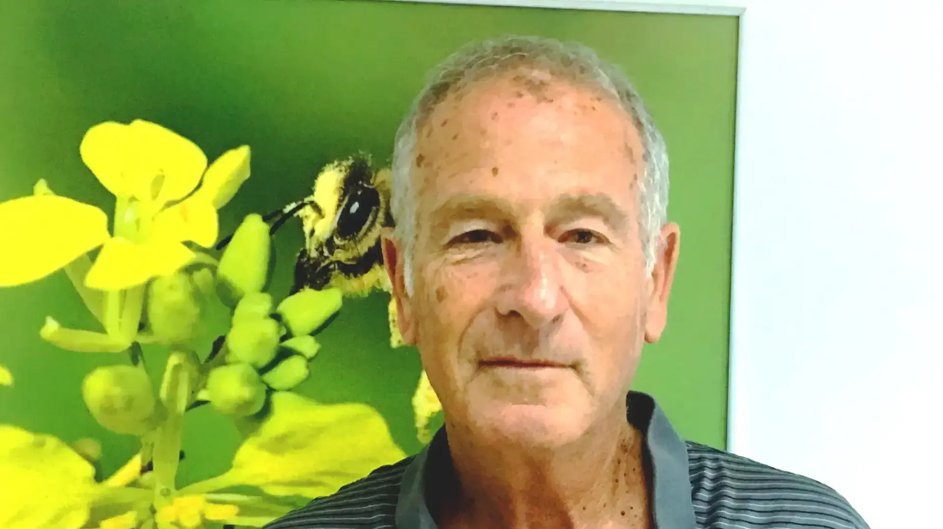 זאב מידן, מנכ"ל מועצת הדבש זאב מידן, מנכ"ל מועצת הדבש