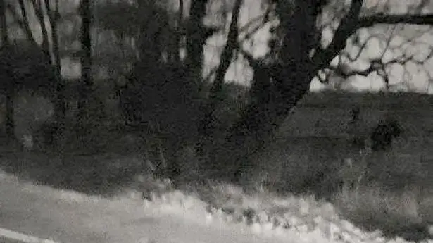 רוח רפאים בסלפי מהמקום בו נערך הקרב על טאוטון רוח רפאים בסלפי מהמקום בו נערך הקרב על טאוטון