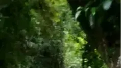 תייעוד אחרון של ידידיה קלרמן שנהרג בתאונה בתאילנד תייעוד אחרון של ידידיה קלרמן שנהרג בתאונה בתאילנד