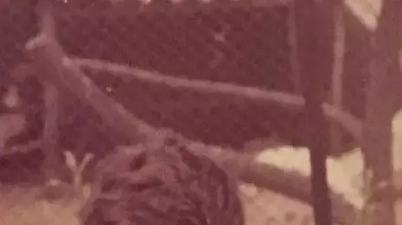 הרמטכ"ל גדי איזנקוט בתמונה כילד, לקראת פתיחת שנת הלימודים הרמטכ"ל גדי איזנקוט בתמונה כילד, לקראת פתיחת שנת הלימודים