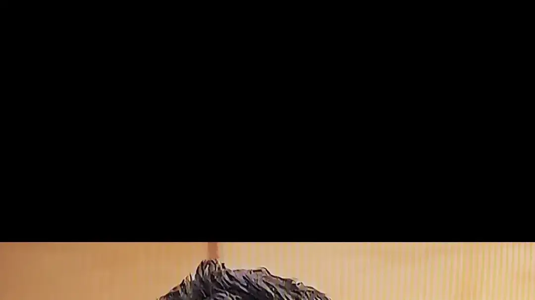 האח הגדול האח הגדול