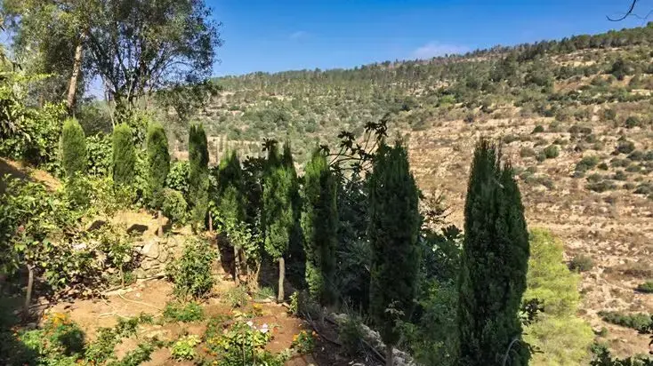 חלקת הקבר של אברהם שמואלוף חלקת הקבר של אברהם שמואלוף