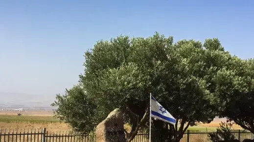 חלקת הקבר של מאיר הר-ציון חלקת הקבר של מאיר הר-ציון