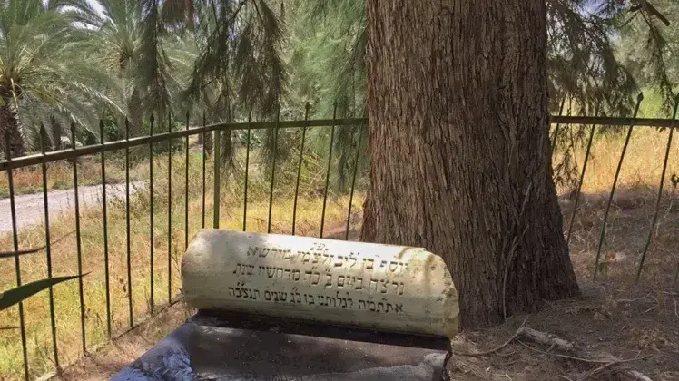 חלקת הקבר של יוסף זלצמן חלקת הקבר של יוסף זלצמן