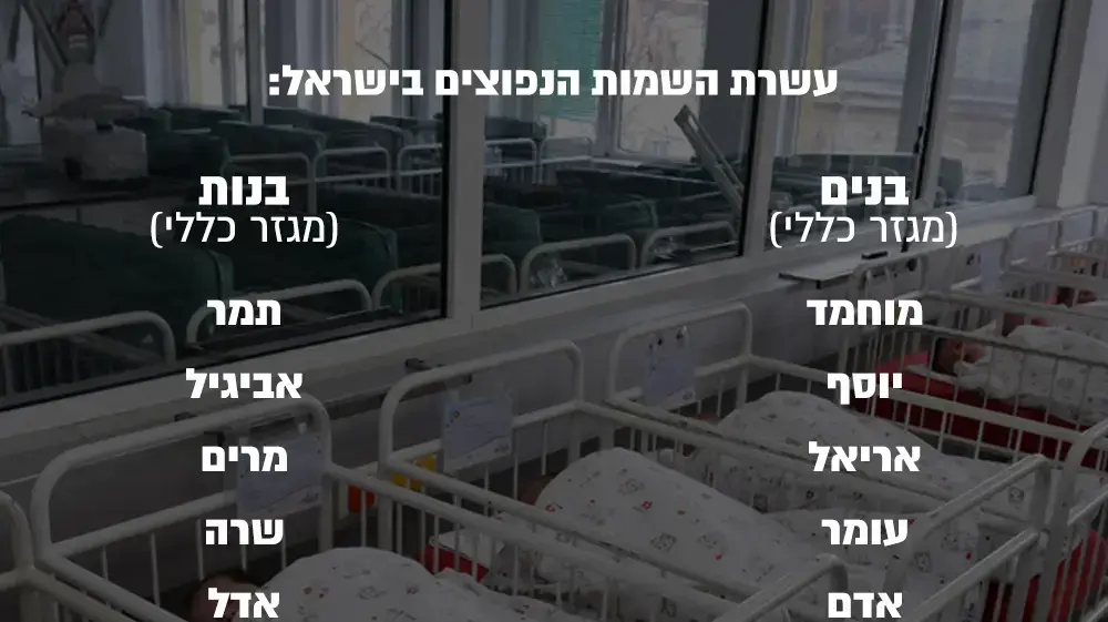 גרפיקה - השמות הנפוצים בישראל שנת תשע"ט גרפיקה - השמות הנפוצים בישראל שנת תשע"ט
