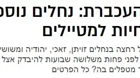 פייק ניוז עכברת פייק ניוז עכברת