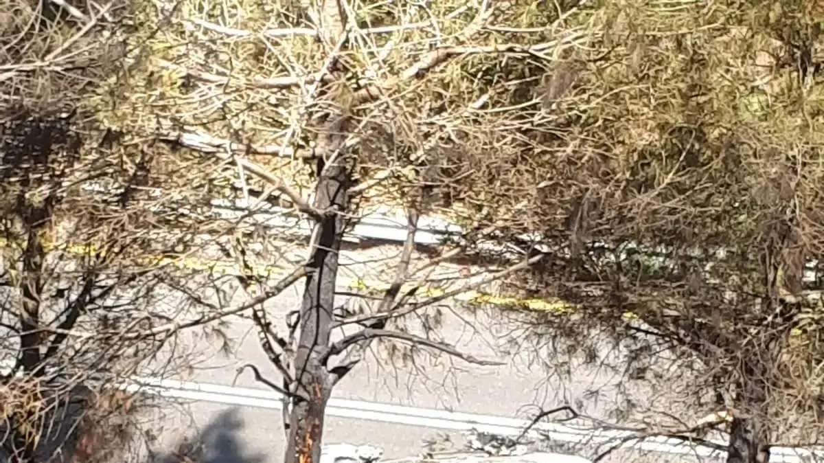 גופה אותרה ברכב ליד נווה אטיב - 10 בספטמבר 2018