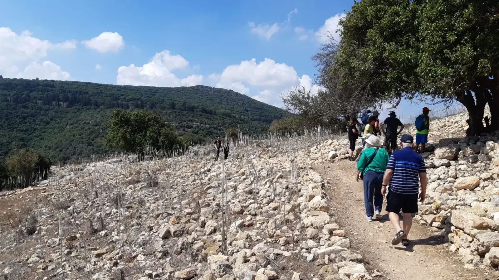 מטיליים ישראלים בראש השנה 2018 מטיליים ישראלים בראש השנה 2018