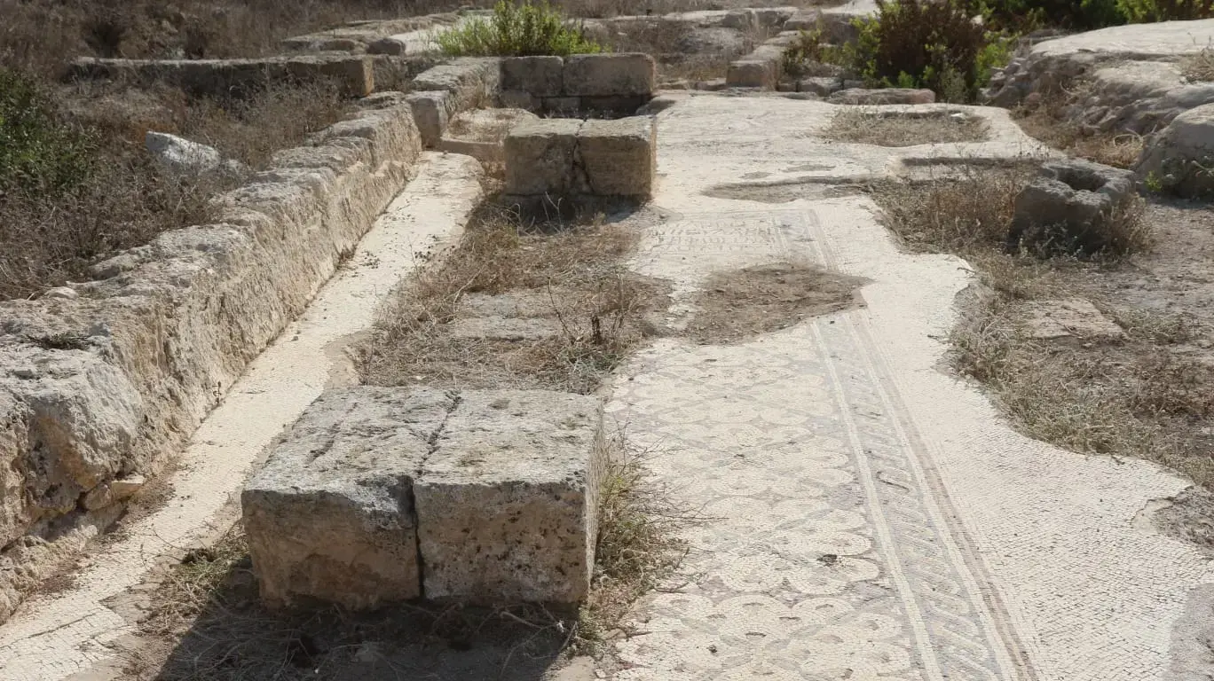 הזנחת אתר העתיקות תל שקמונה הזנחת אתר העתיקות תל שקמונה