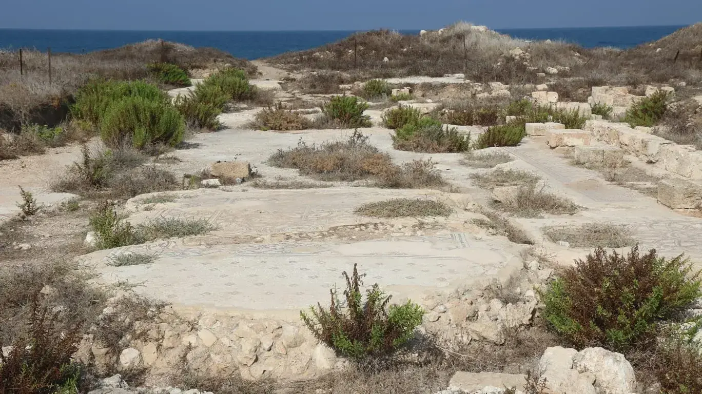 הזנחת אתר העתיקות תל שקמונה הזנחת אתר העתיקות תל שקמונה