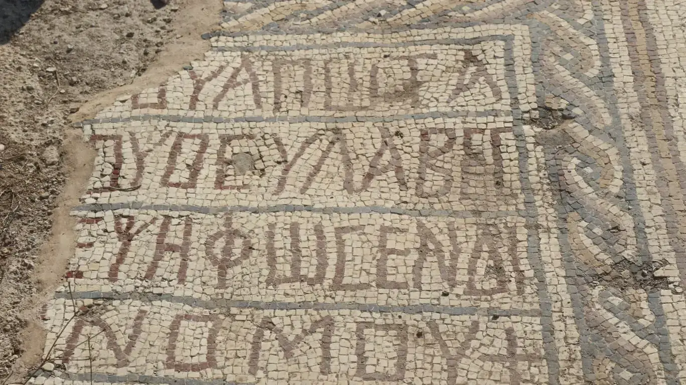 הזנחת אתר העתיקות תל שקמונה הזנחת אתר העתיקות תל שקמונה