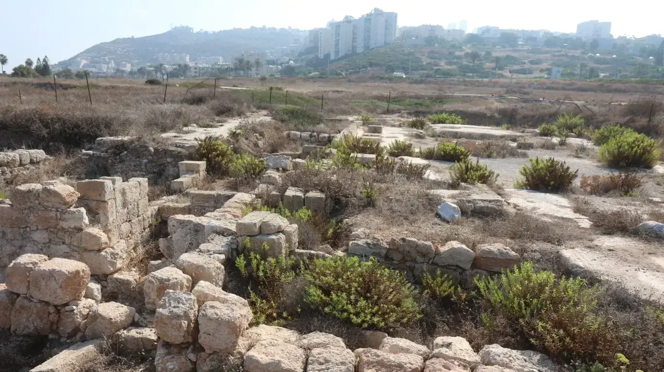 הזנחת אתר העתיקות תל שקמונה