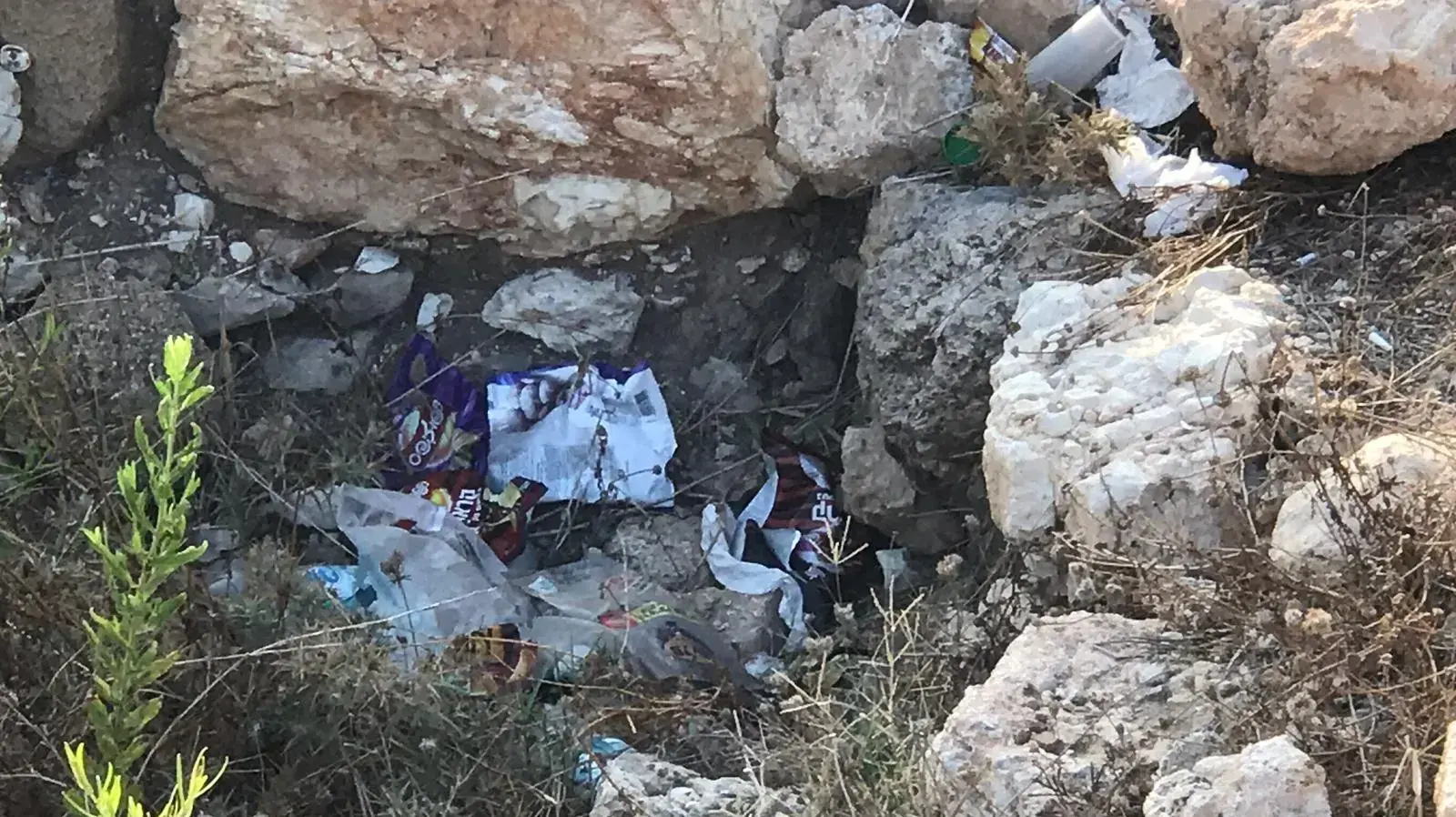 הזנחת אתר העתיקות תל שקמונה הזנחת אתר העתיקות תל שקמונה