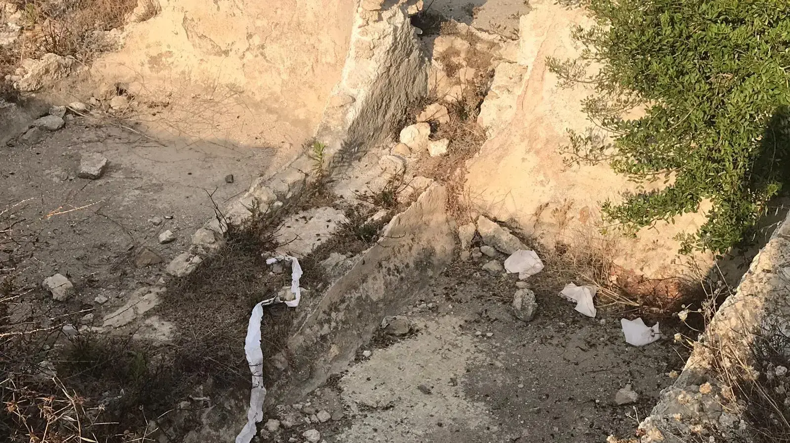 הזנחת אתר העתיקות תל שקמונה הזנחת אתר העתיקות תל שקמונה