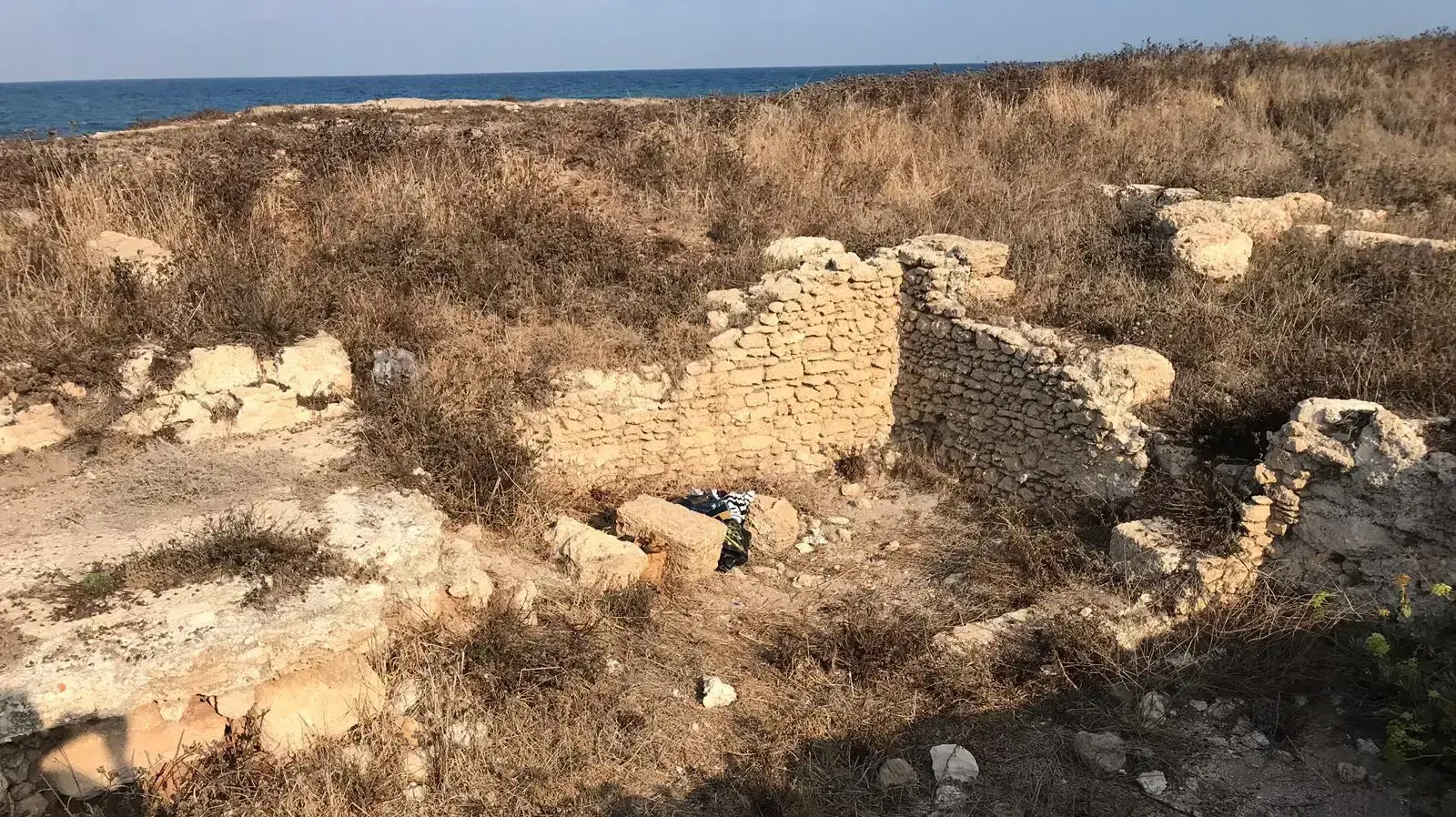 הזנחת אתר העתיקות תל שקמונה הזנחת אתר העתיקות תל שקמונה