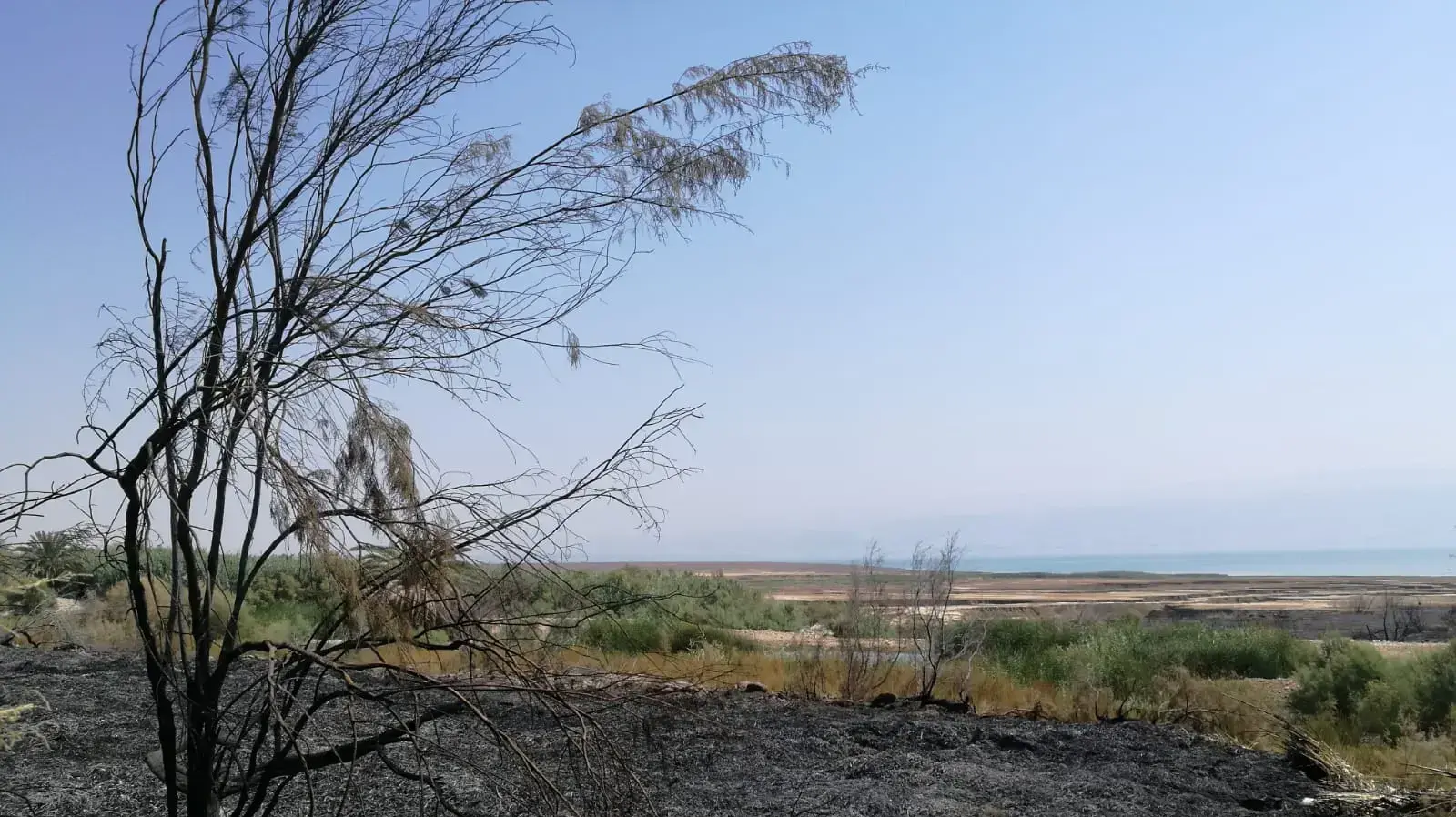 הצתה בשמורה באזור ים המלח 12 בספטמבר 2018