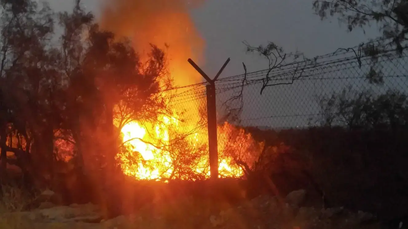 שריפה בעינות צוקים שריפה בעינות צוקים