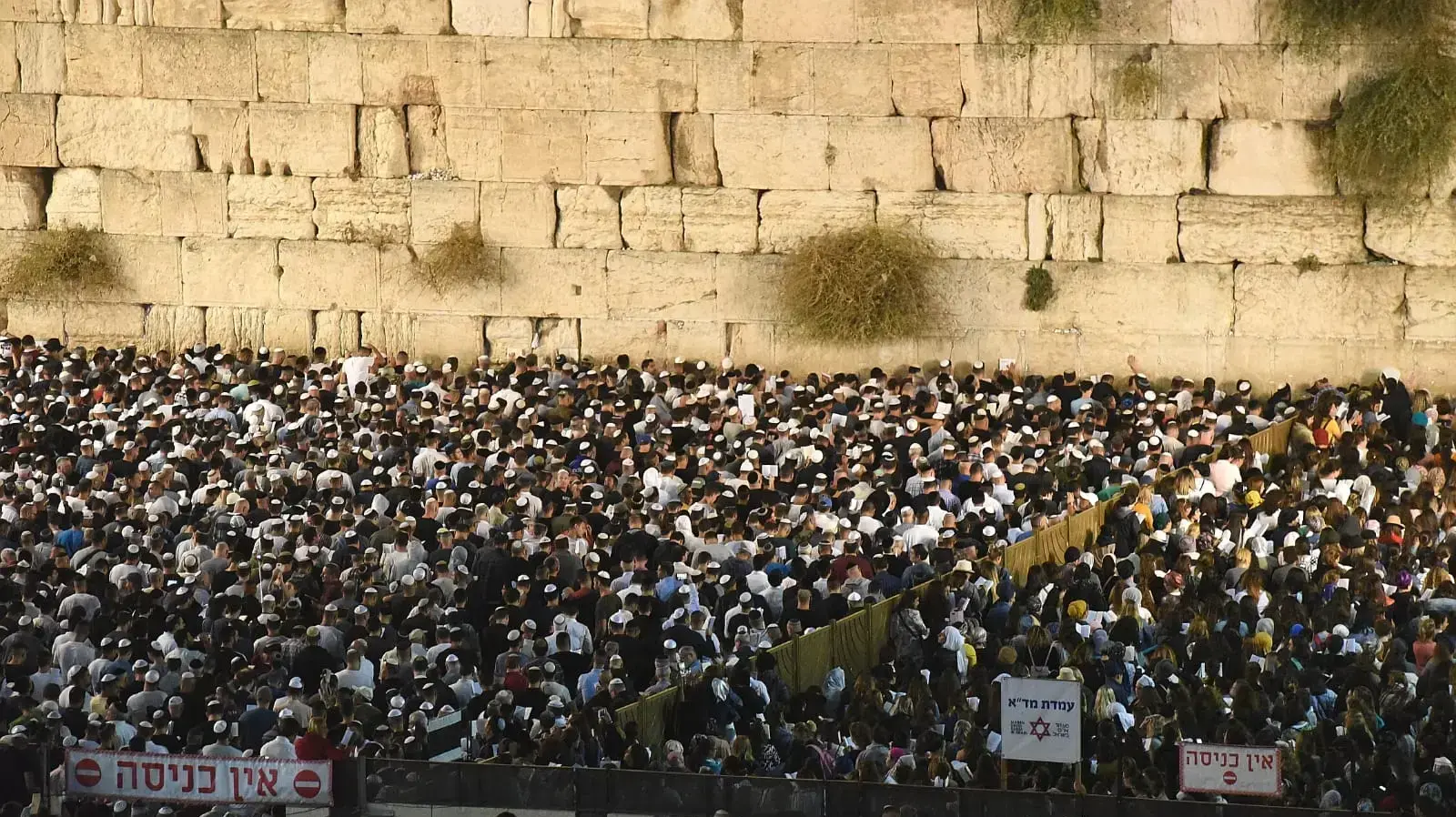 רבבות בתפילות לקראת יום הכיפורים בכותל המערבי 18 בספטמבר 2018 רבבות בתפילות לקראת יום הכיפורים בכותל המערבי 18 בספטמבר 2018