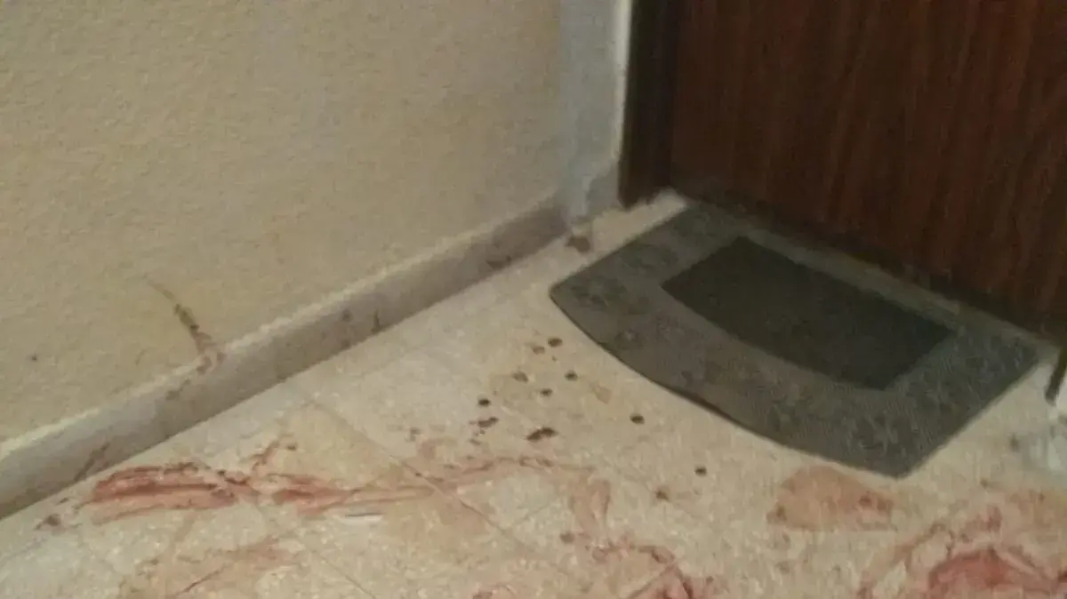 קטטה בקריית ים קטטה בקריית ים
